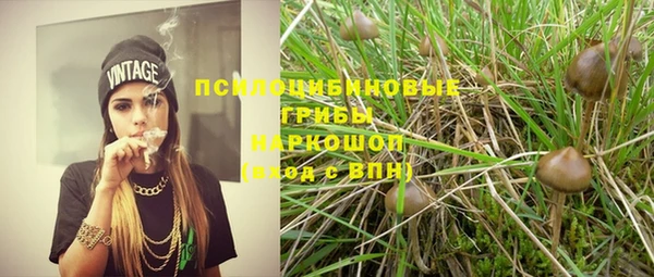 ПСИЛОЦИБИНОВЫЕ ГРИБЫ Абаза