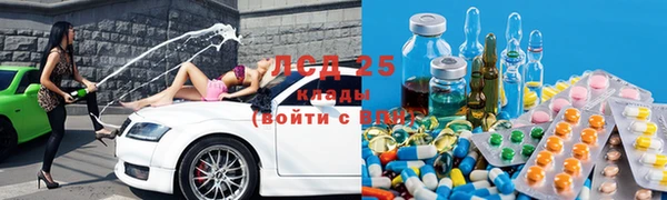 ПСИЛОЦИБИНОВЫЕ ГРИБЫ Абаза
