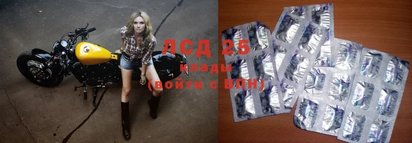 ПСИЛОЦИБИНОВЫЕ ГРИБЫ Абаза